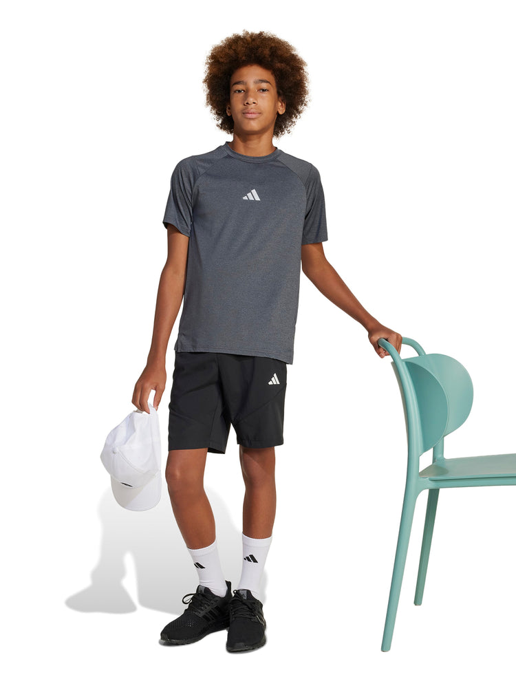 All Sports Favorite Tee