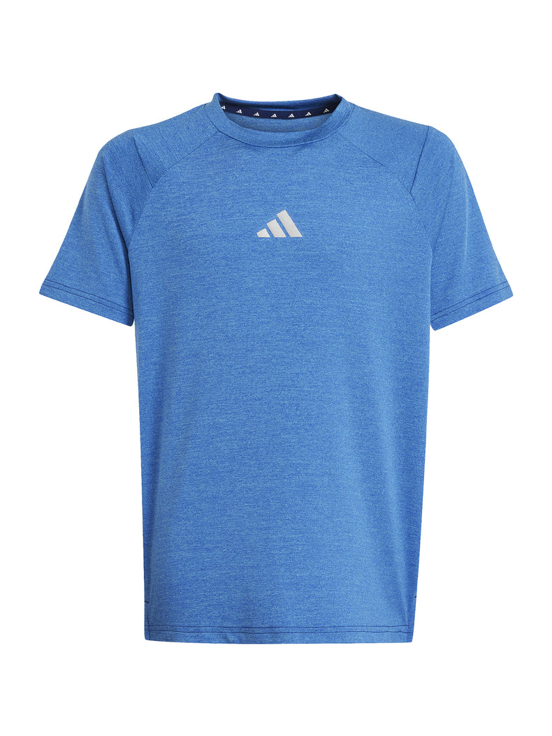 All Sports Favorite Polo (Teens)