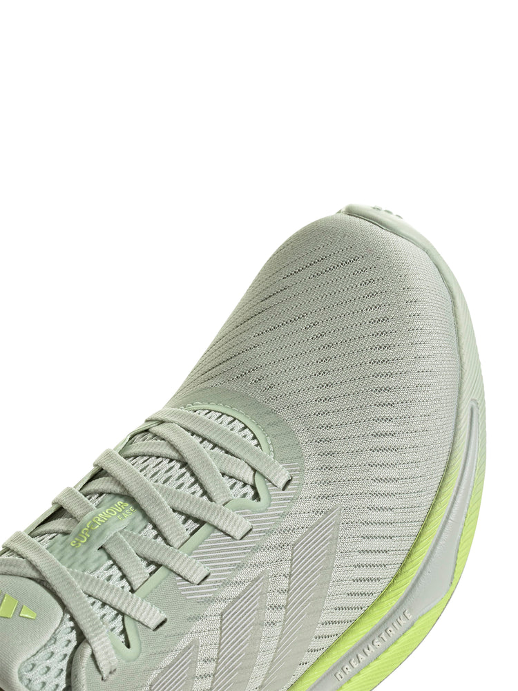 Supernova Ease Shoes
