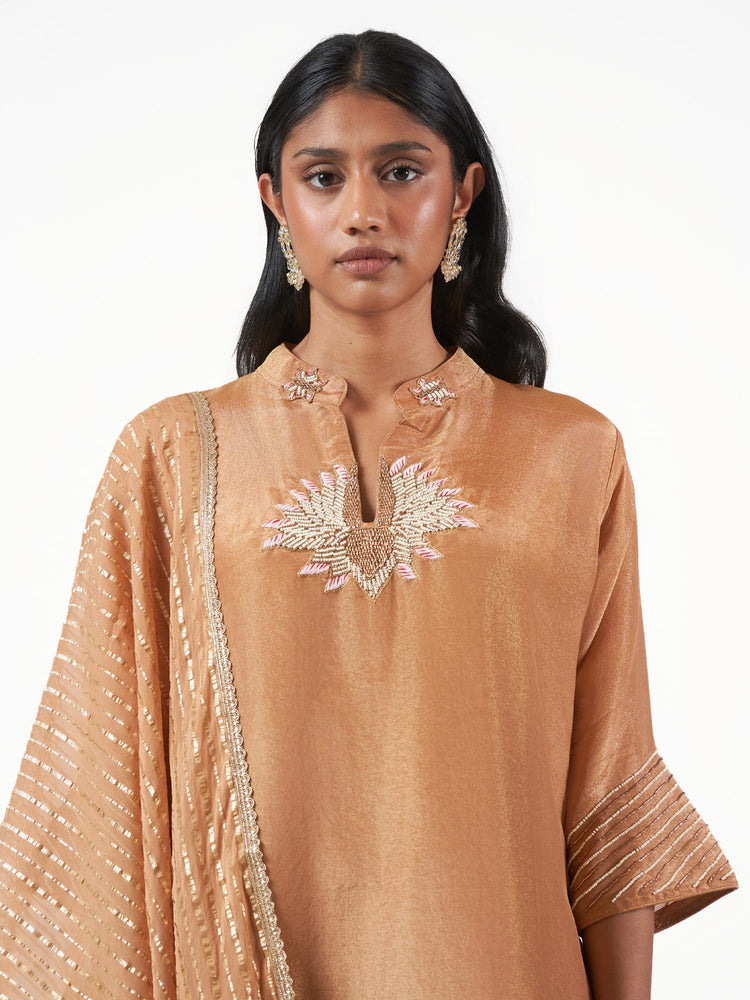 Tissue Silk Embroidered Shalwar Set