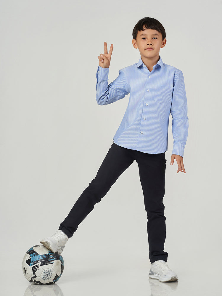 Blue Striped Regular Fit Long Sleeve Shirt
