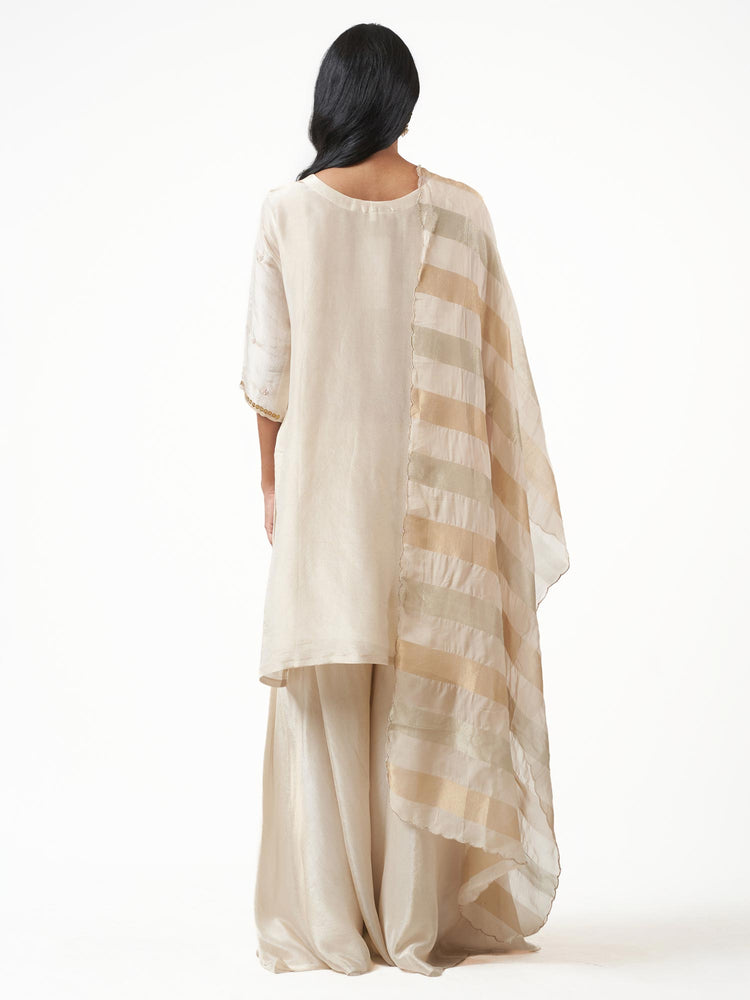 Tissue Silk Beaded Sharara Set