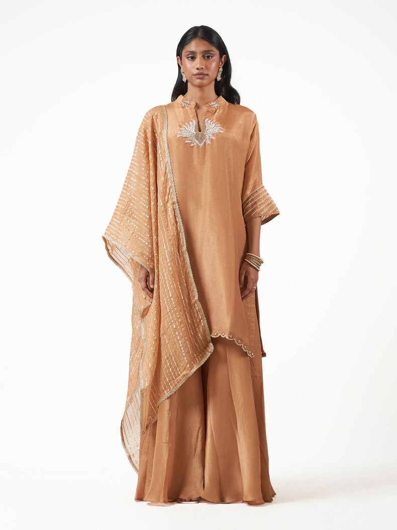 Tissue Silk Embroidered Shalwar Set
