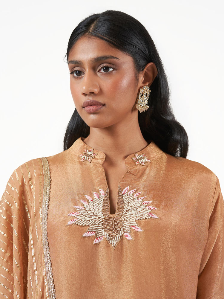 Tissue Silk Embroidered Shalwar Set