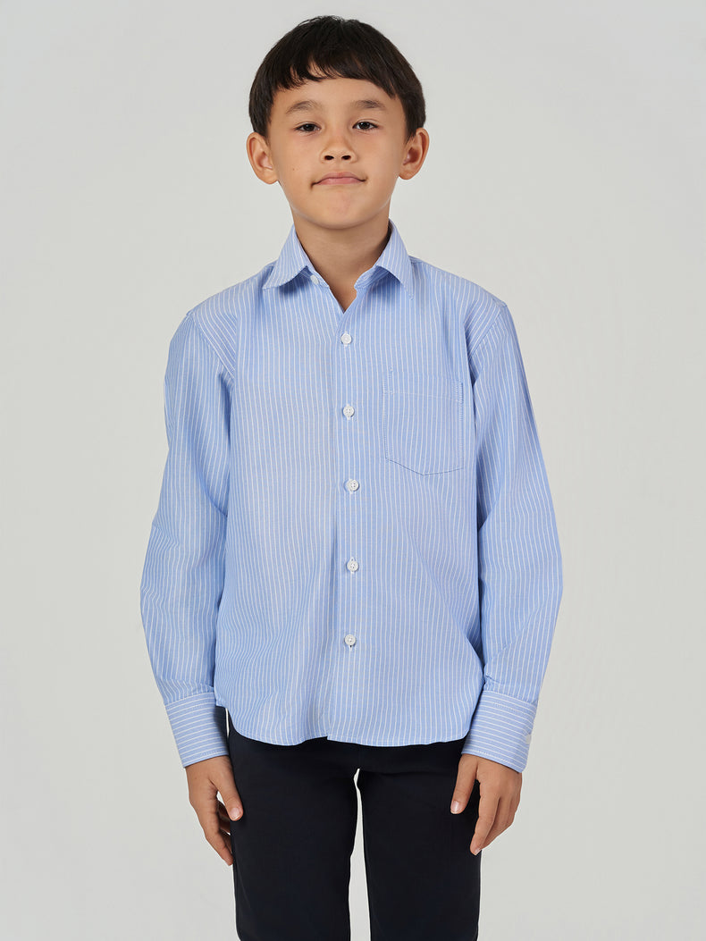 Blue Striped Regular Fit Long Sleeve Shirt
